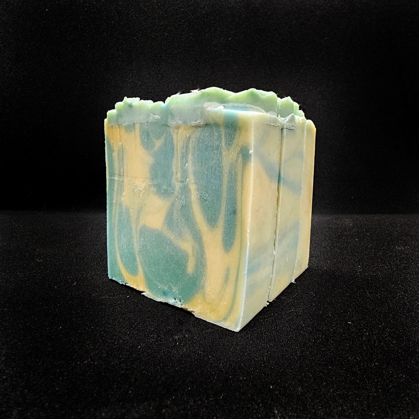 Seaside Succulent Soap Bar